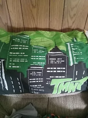 Teenage Mutant Ninja Turtles Bedding • $60