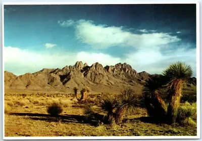 $6.11 • Buy Postcard Organ Mountains Las Cruces New Mexico USA North America