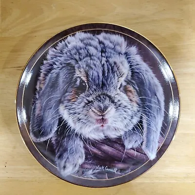 Vivi Crandall Bunny Tales “Sweet Cheeks” Collector Plate Bradford Exchange • $22.50