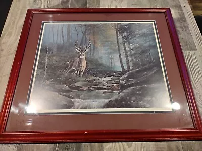 R.J. McDonald  Daybreak  North American Whitetail Ltd Series 825 Of 1000 SIGNED! • $299.99