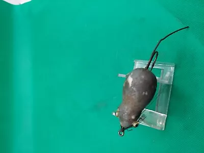 Old Lure Vintage Topwater Mouse For Big Bass Fishing. • $5.99