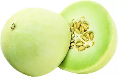 Honeydew Green Flesh Melon Seeds 35 SEEDS NON-GMO --BUY 4 ITEMS FREE SHIPPING • $0.99