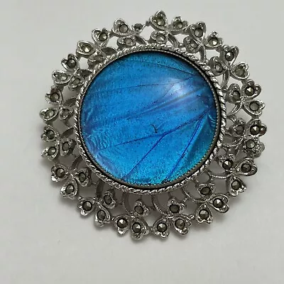 Exquisite Vintage Blue Butterfly Wing Morpho Round Brooch Shamrock Marcasite Set • $55