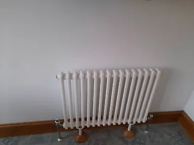 £100 • Buy Traditional Floor Standing Metal Radiator - Used.