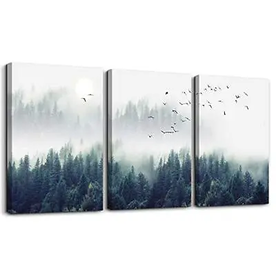3 Piece Canvas Wall Art For Living Room - Misty Forests Of Evergreen Coniferous • $75.49