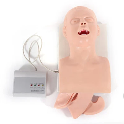 $239 • Buy Lab Oral Intubation Manikin Study Teaching Adult Airway Management Trainer Model