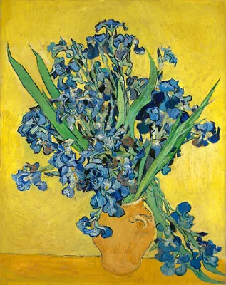 $20.99 • Buy Irises By Vincent Van Gogh Oil Painting Art Giclee Printed On Canvas L2401
