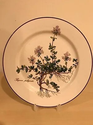 Villeroy & Boch BOTANICA Thymus Pulegioides With ROOTS Salad Plate 8 1/4  • $9