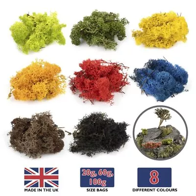 Lichen Moss Model Foliage | WWScenics Railway Layout Scenery Trees Bushes Basing • £7.99