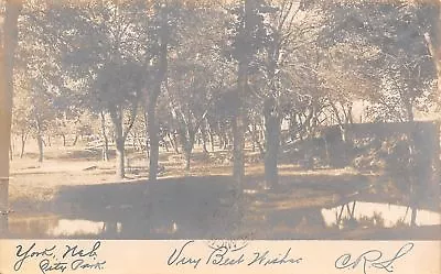 York Nebraska~Benches & White Arch Footbridge~Shade Trees In City Park RPPC 1906 • £5.76