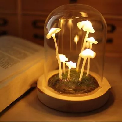 Retro Mushroom Night Light DIY Material Package Decoration Gift Home Decor • £11.99