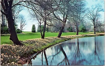 Longwood Gardens - Daffodills Border Large Lake In Springtim - Kennett Square PA • $2.37