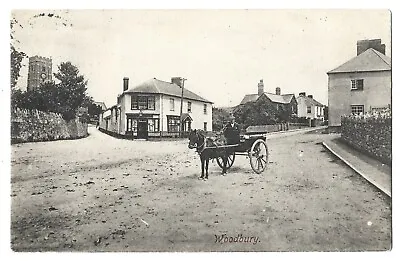£7.95 • Buy RP Woodbury Nr Topsham Pony & Trap Shop Etc 1906 Exeter Postmark Postcard Devon