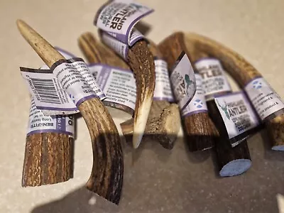£35 • Buy Antler Dog Chews Medium X8