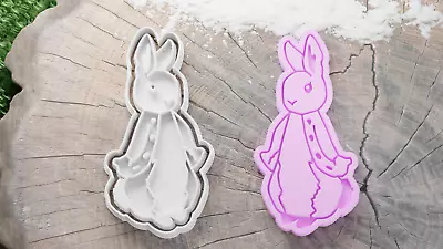 Flopsy From Peter Rabbit Cookie Cutter / Fondant / Icing • £5.19