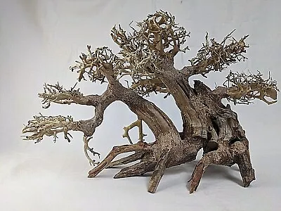Natural Bonsai Driftwood Aquarium Tree • $55