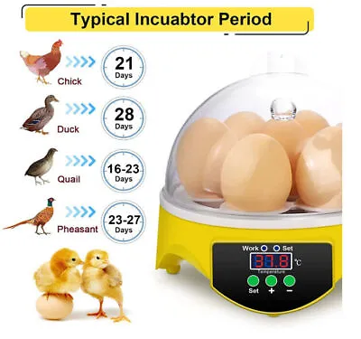 Poultry Mini Digital Incubator Egg Hatching Egg Poultry Chicken Duck Bird • $25.99