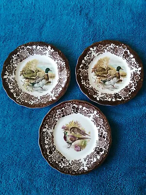 £9 • Buy Beautiful Vintage Royal Worcester Palissy Game Series / Plates X 3