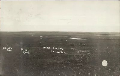 Miner County SD Cattle Grazing Lubeck's Real Photo Postcard HOWARD CANCEL • $4.15