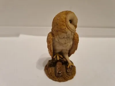 Country Artists For Royal Doulton Tawney Owl Figurine • £1.99
