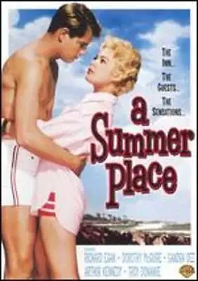 A Summer Place By Delmer Daves: Used • $13.68