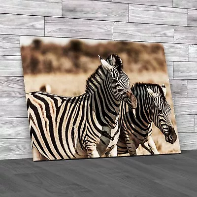 Zebra In Love Canvas Print Large Picture Wall Art • £21.95