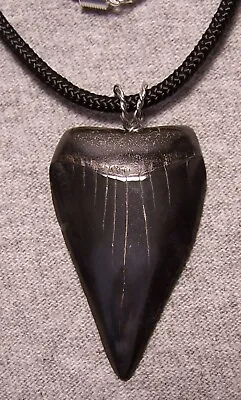 MAKO SHARK TOOTH FOSSIL TEETH NECKLACE  2  WIRELESS POLISHED MEGALODON JAW Black • $35