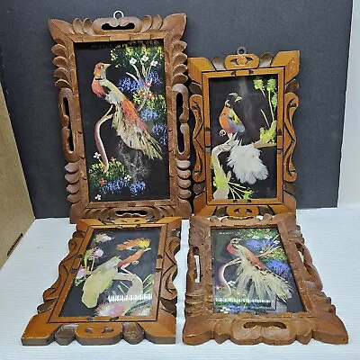 4 Mexican Folk Art Feather Craft Bird Pictures Wood Frames PLS READ DESCRIPTION • $29.99