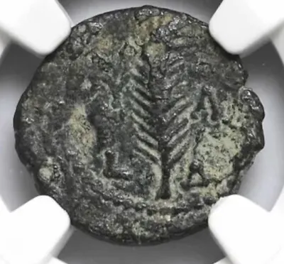 NGC VF Valerius Gratus 15-26 AD Judaea Jesus Bible Coin Roman Empire Governor • $269.99