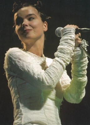 £9.89 • Buy Bjork, On Stage, Mid 1990s - Miniature Poster & Card Frame