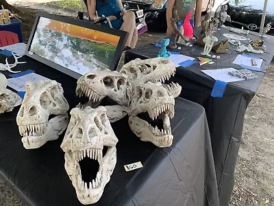 T-Rex Skull 3D Print. • $40