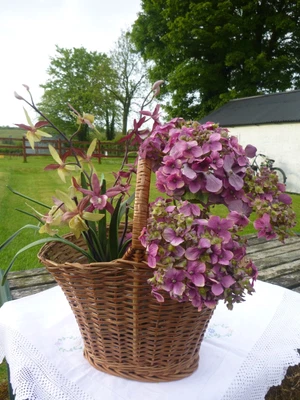 £27.50 • Buy Vintage Wicker Shopping Basket Interior Floral Display Picnic Eggs Cottagecore