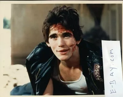 Matt Dillon  8x10 Photo B7625 • $10.50