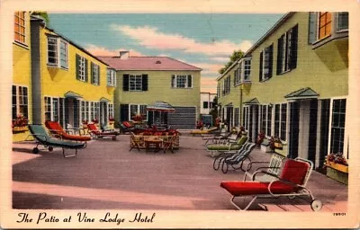 Postcard California Hollywood Vine Lodge Hotel Motel Linen Vintage CA Patio • $4.99