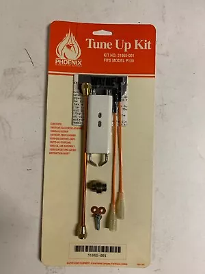 Wayne 31865-001 Tune Up Kit For Wayne Phoenix Model P100 Oil Burner  • $25