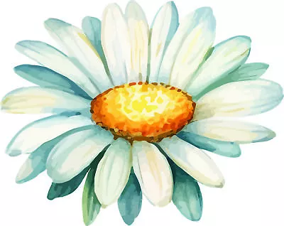 Daisy Flower Vinyl Decal Sticker - Decor - A2880 • £3.99