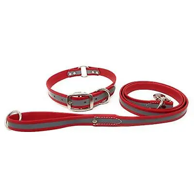 Large Red Reflective Dog Collar And Leash Set - Waterproof Biothane Dog Colla... • $46.20