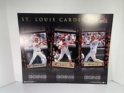 Vtg Mead Costacos Sports St. Louis Cardinals Cardstock Poster 16x20 McGwire MLB • $8.79