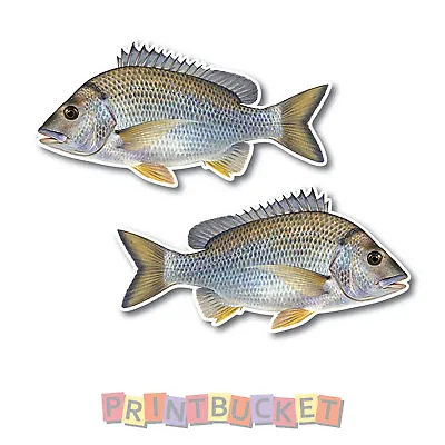 $6.99 • Buy Bream Sticker 2 Pack 180mm Quality Water & Fade Proof Vinyl Boat Fishing 