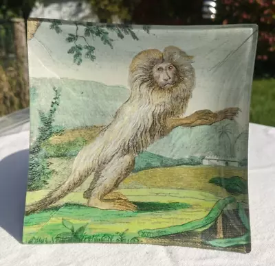 Signed JOHN DERIAN Decoupage Marmoset Monkey Glass Trinket Dish Square 5.75 In • $65