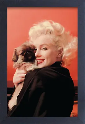 MARILYN MONROE PUPPY 13x19 FRAMED GELCOAT POSTER ICONIC MODEL BEAUTY GIFT NEW!!! • $34.99