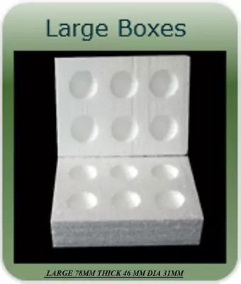 £150 • Buy 135 X 6 Hole  Large  Polystyrene Egg Boxes Hatching/incubation Chicken