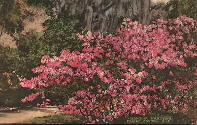 Postcard SC Charleston Scene In Magnolia Gardens Hand Colored Vintage PC B4542 • $4