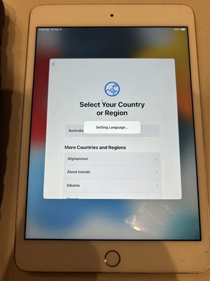 $280 • Buy Apple IPad Mini 4 128GB, Wi-Fi Unlocked), 7.9in - Space Grey (AU...