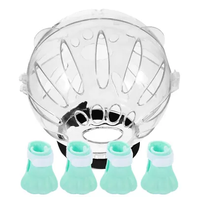 1 Set Anti-biting Cat Helmet Breathable Kitten Space Hood Clear Head Shield • $18.61