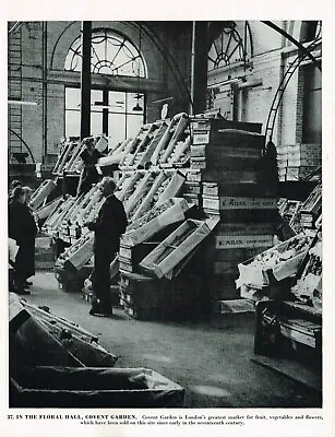 Covent Garden Market Floral Hall London Vintage Picture Print 1953 CLPBOL2#37 • £3.49