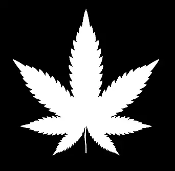 Pot Leaf 420 Decal JDM Funny Decal For Car Windows Outdoors Phone Computer. • $4.65