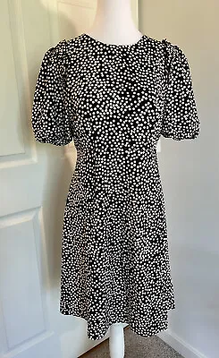 NWT Lark & Ro Polka Dot Midi Dress Black Ivory Short Sleeves Ruffles A-Line Sz 6 • £17.58