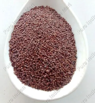 Lajwanti Lajvanti Beej Mimosa Pudica Seed Chuimui Lajjalu Sensitive Plant Seeds • £8.45