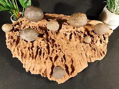 EIGHT! Moqui Marbles On A HUGE! Natural Navajo Sandstone Formation Utah 7047gr • $109.99